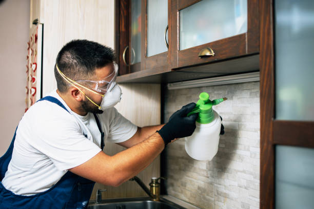 Best Exterminator Services  in Cedaredge, CO