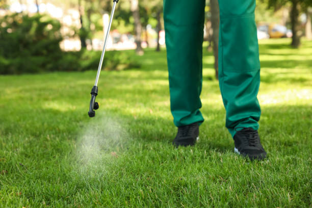 Best Wildlife Control Services  in Cedaredge, CO