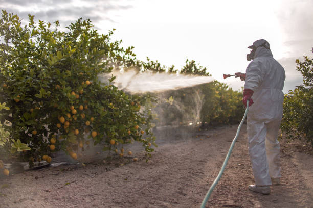 Best Pest Control Treatment  in Cedaredge, CO
