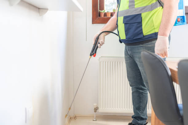 Wasp Removal Services in Cedaredge, CO